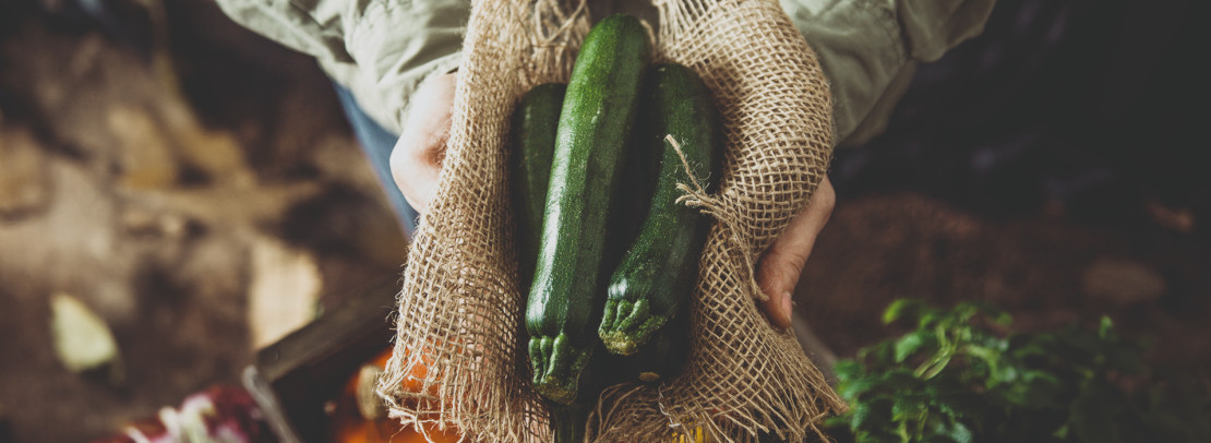 The Yellow Green Farmers Market is a multi-faceted outdoor venue that connects local producers and artisans with the community. A diversified shopping and eating experience, the marketplace is a space to gather, engage, support, and enjoy the fruits of South Florida.